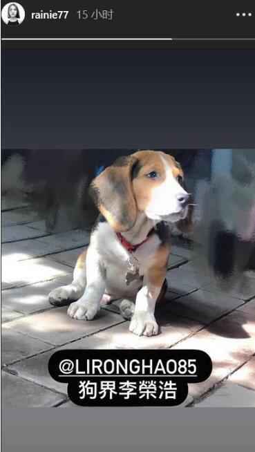 杨丞琳晒狗界李荣浩