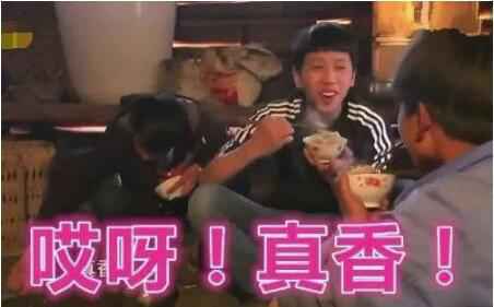 真香哥王境泽开公司