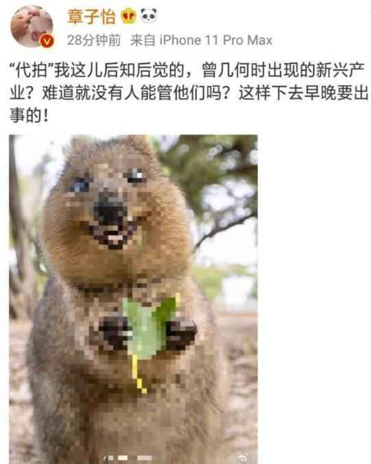 章子怡发文斥代拍
