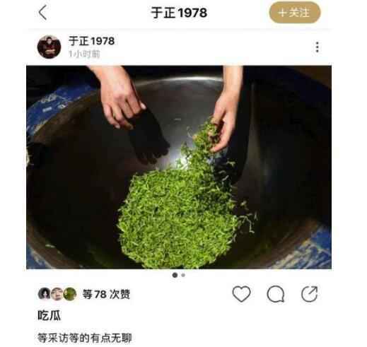 于正晒绿茶照吃瓜