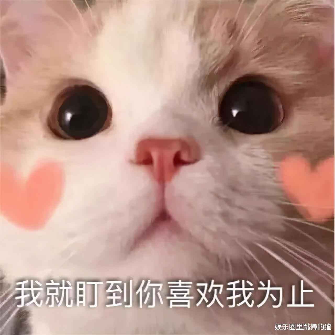 ​肖战新片预告，一天播放破千万，倒霉女主角能否靠肖战转运