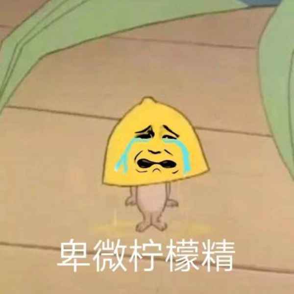 微博:彰显普通公众参与信息建构力量