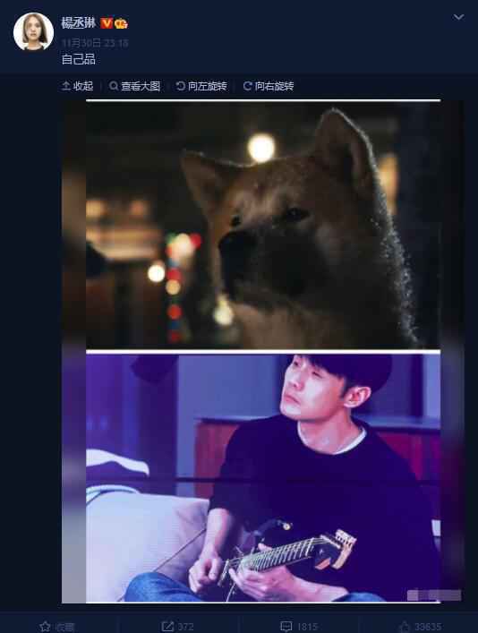 杨丞琳晒李荣浩与柴犬对比图