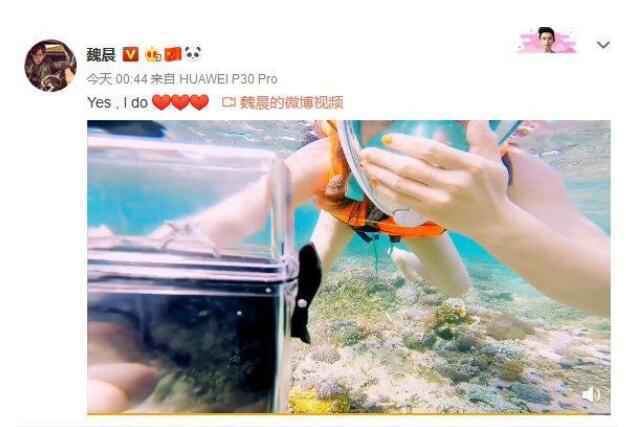 魏晨成功求婚