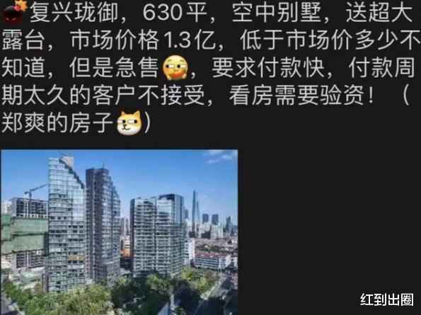 曝郑爽会翻盘？知名公关陈砺志将接手，曾因董洁潘粤明离婚案出名