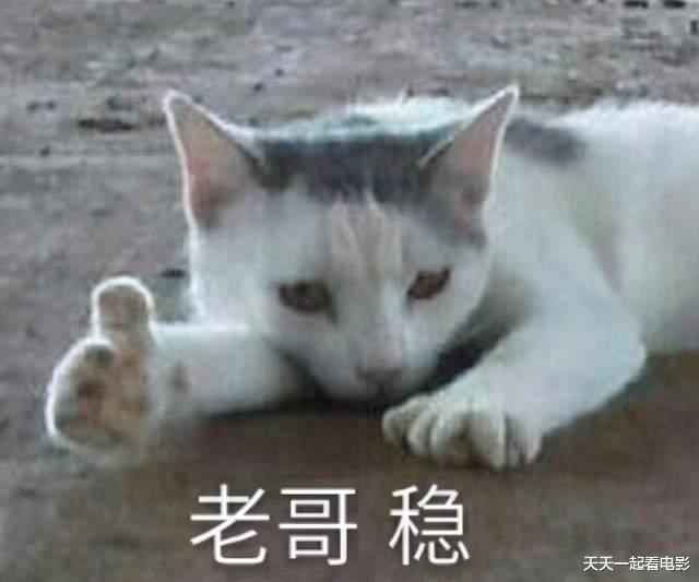 郭敬明的垂死挣扎？亏本烂片出征好莱坞，希望从老外手里挣几个亿